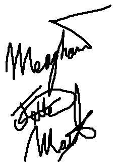 meaghansigpaint