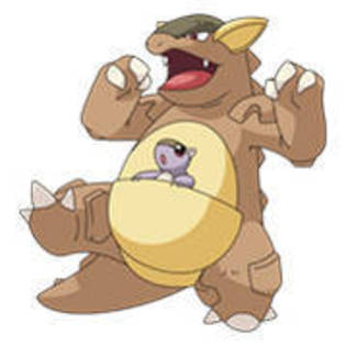 kangaskhan - Pokemon