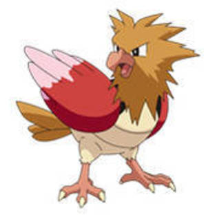 spearow - Pokemon