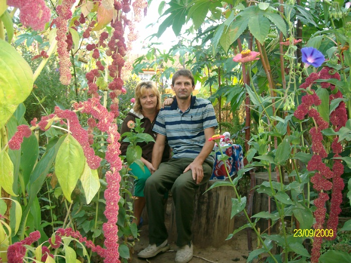 SANY6221 - flori