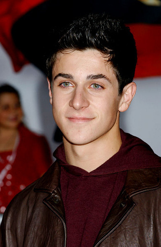 David-looking-great-david-henrie-3821416-326-500