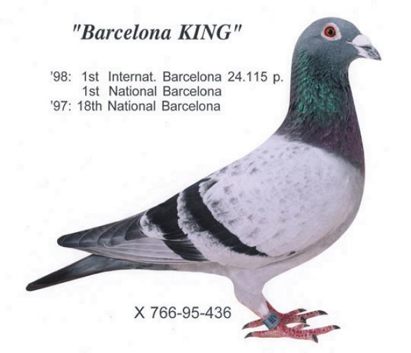 Barcelona King DV 766-95-436 - Ascendenti celebri ai porumbeilor mei