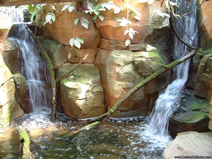 238 - Cascade of water - poze cu cascade