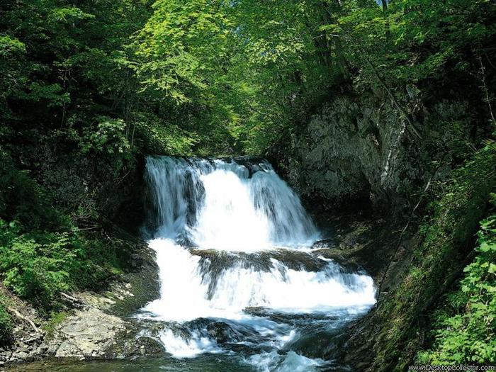 251 - Water Cascade - poze cu cascade