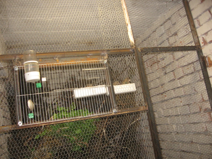 mugurari 006; voliera
