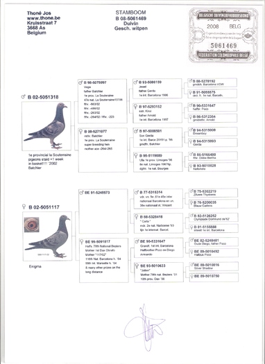 B 08 5061469 F - Achizitii respectiv - PEDIGREELE PORUMBEILOR ACHIZITIONATI in 2008 - 2012