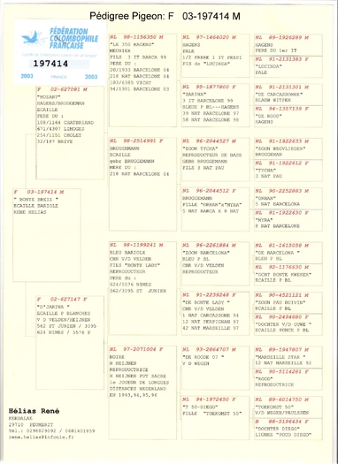 F 03 197414 M - Achizitii respectiv - PEDIGREELE PORUMBEILOR ACHIZITIONATI in 2008 - 2012