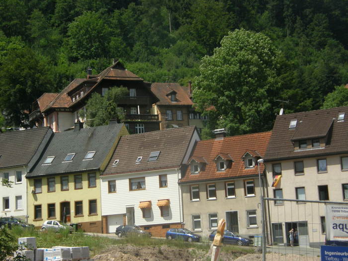P7090006 - 2010