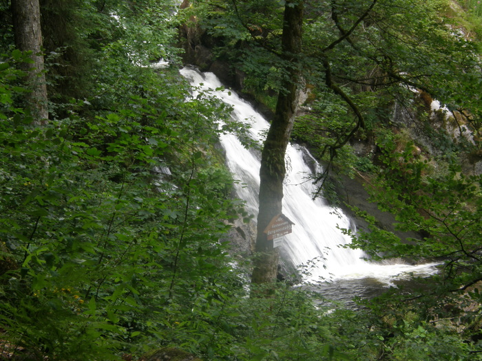 P7090085 - 2010