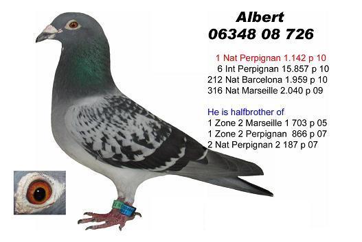 Albert - REZULTATE - norme 1996-2010