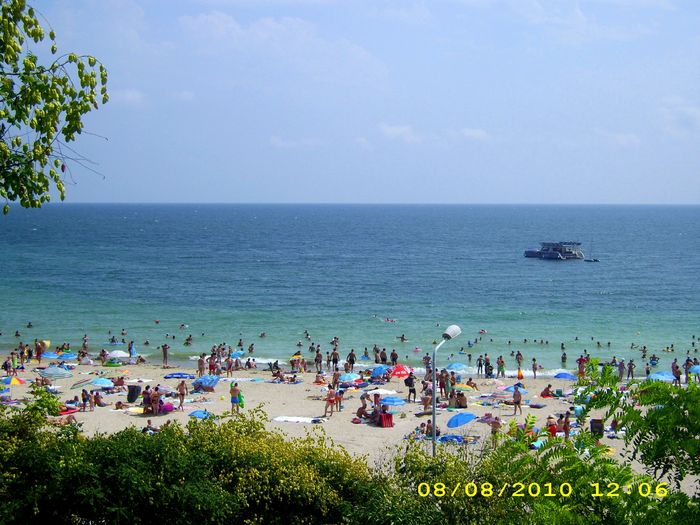 DSCI0025 - mangalia in august 2010