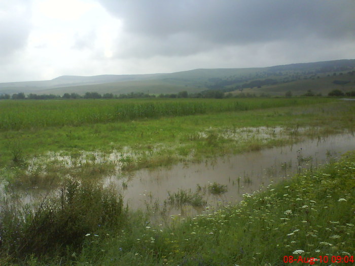 DSC02538 - Inundatie la Drauseni BV