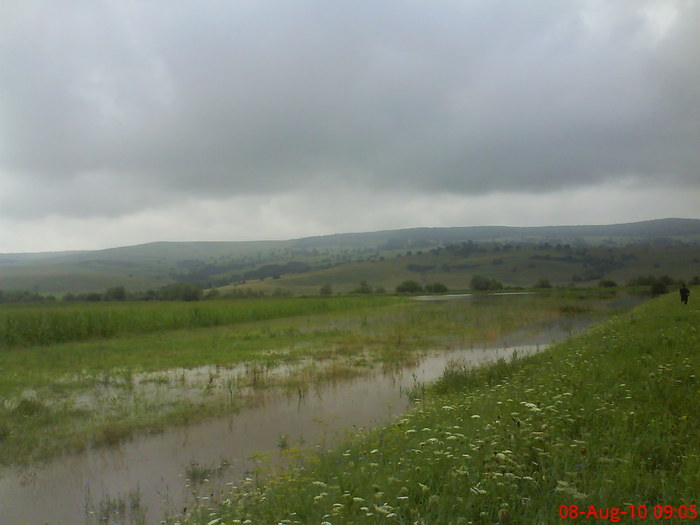 DSC02540 - Inundatie la Drauseni BV