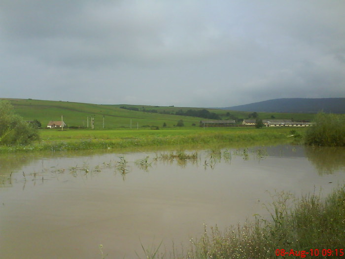 DSC02555 - Inundatie la Drauseni BV
