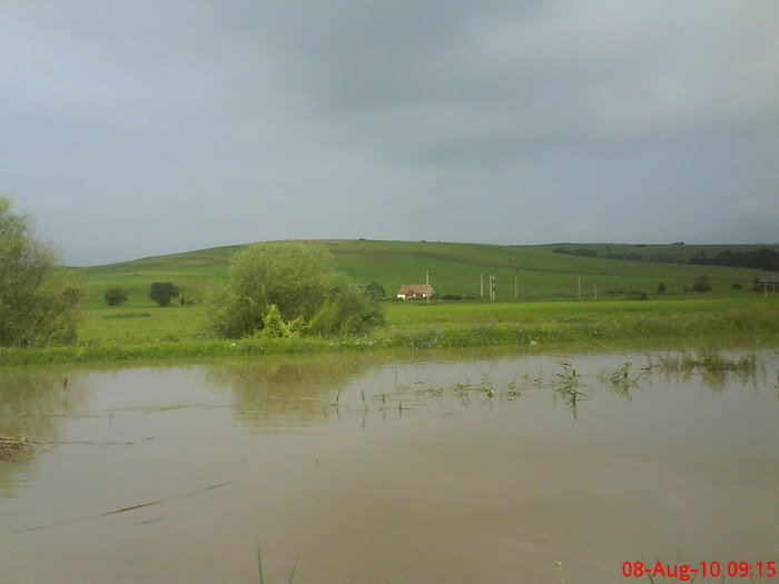 DSC02556 - Inundatie la Drauseni BV