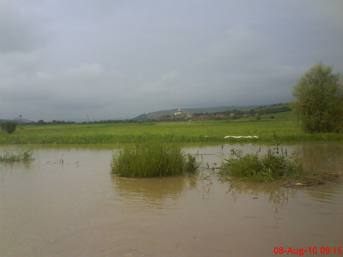 DSC02557 - Inundatie la Drauseni BV