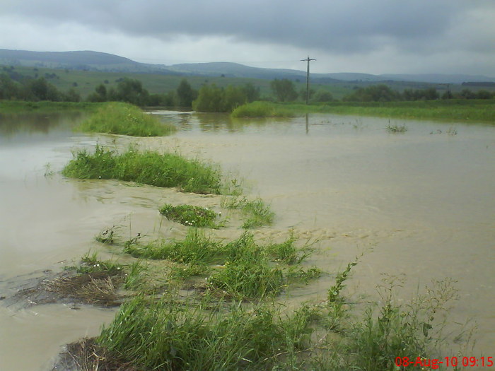 DSC02558 - Inundatie la Drauseni BV