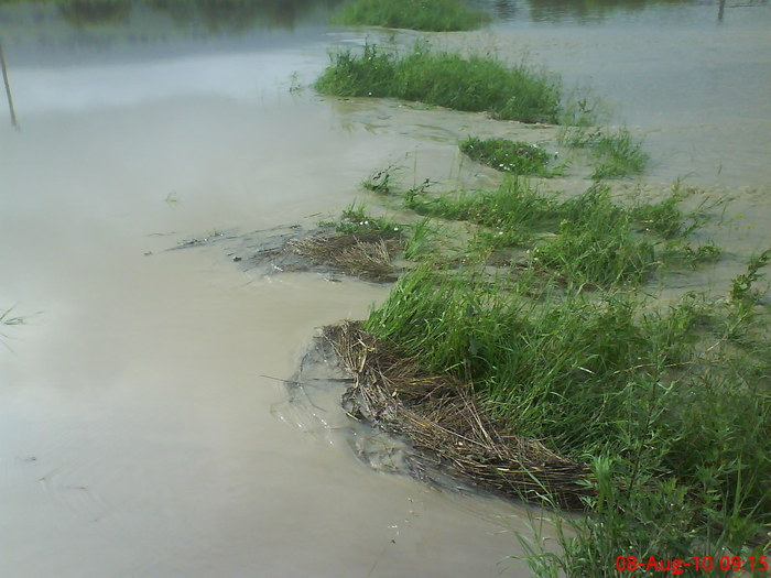 DSC02559 - Inundatie la Drauseni BV