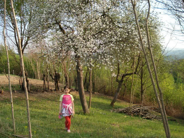 DSC01143 - EU