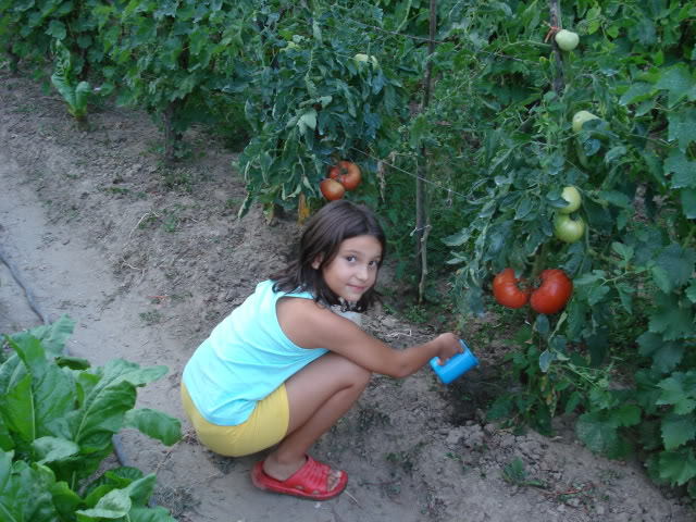 DSC02007