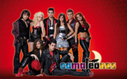 10078263_GCMWYRBBE - camaleones