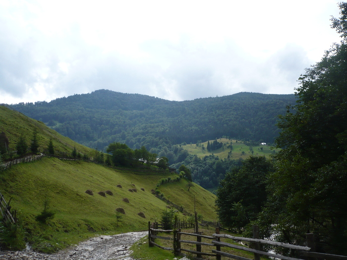  - Muntii Rodnei  -Valea Aniesului