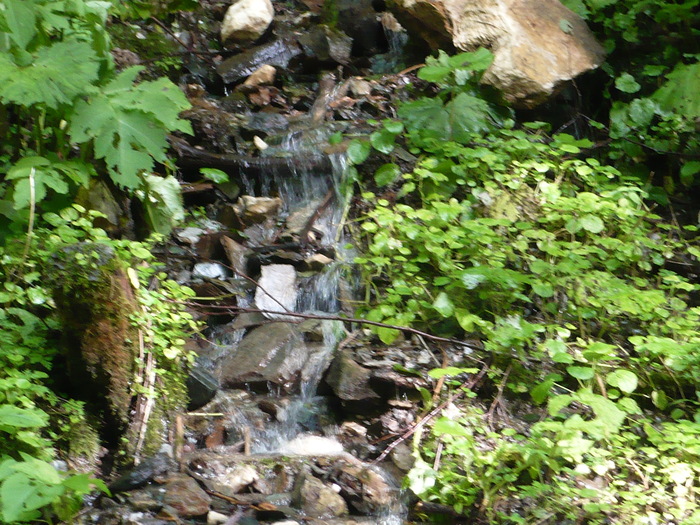  - Muntii Rodnei  -Valea Aniesului