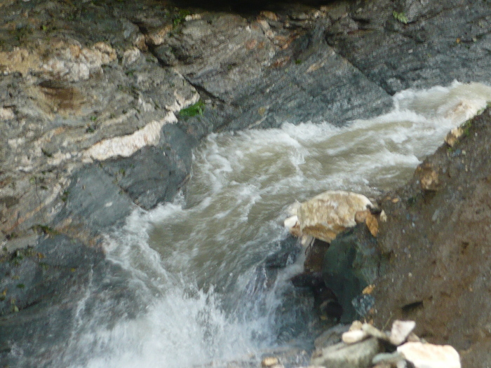  - Muntii Rodnei  -Valea Aniesului