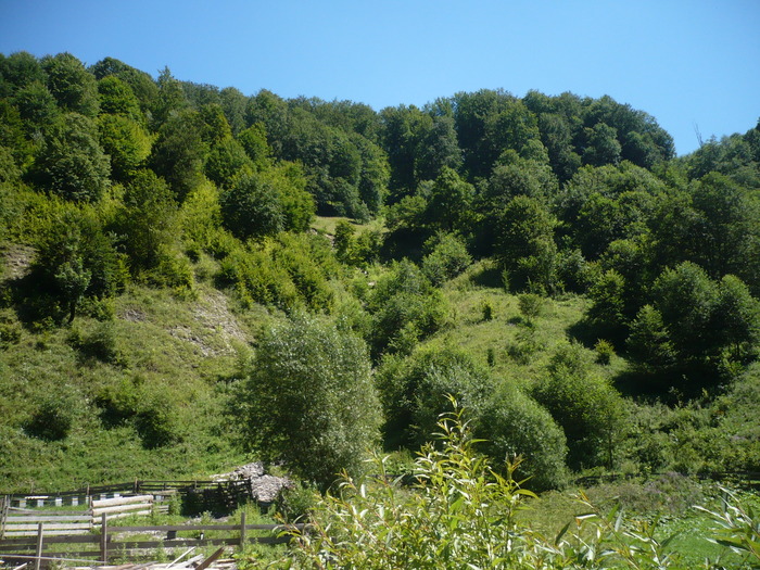 p 201 - Muntii Rodnei  -Valea Aniesului