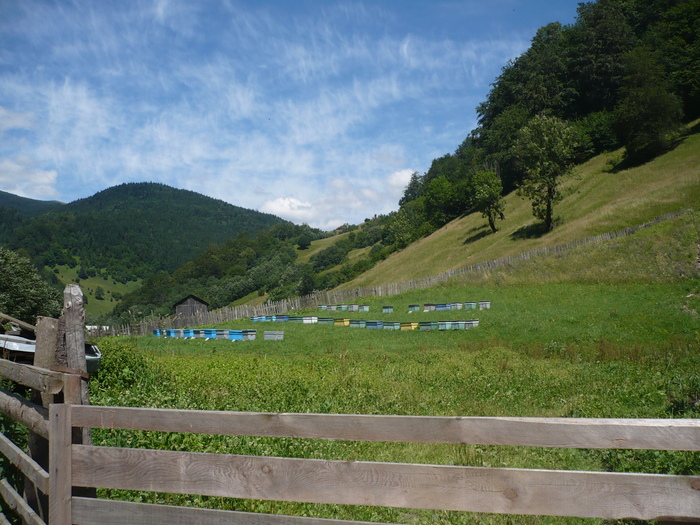  - Muntii Rodnei  -Valea Aniesului