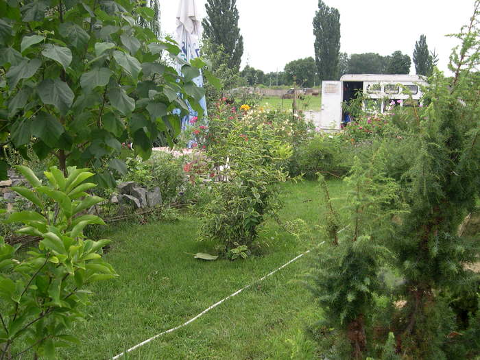 DSCN5732 - 09 08 2010