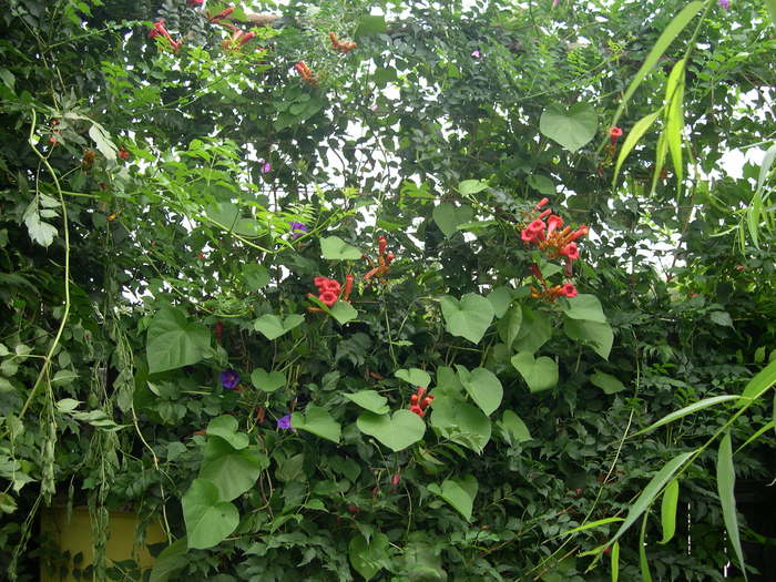 DSCN5751 - 09 08 2010