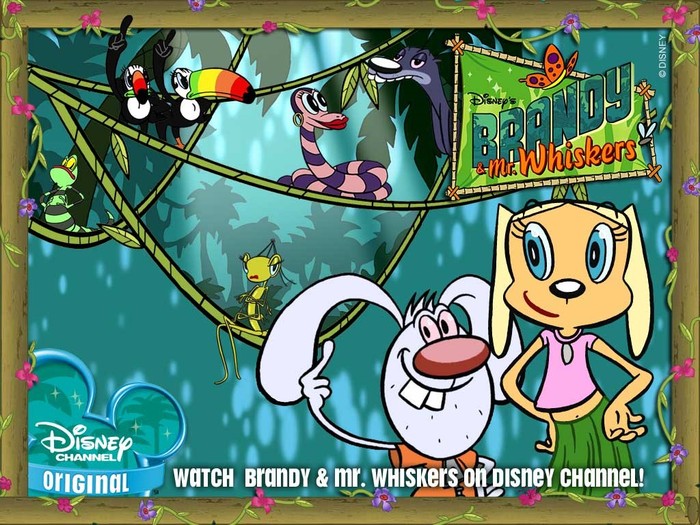 brandy-and-mr-whiskers[1] - Brandy si Mustacila