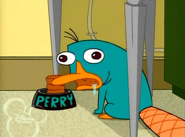 Perry_as_a_mindless_animal[1] - Phineas si Ferb