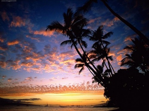 Tropical-Sunset-3-Wallpaper-500x375