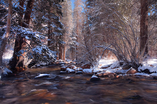 winter tale