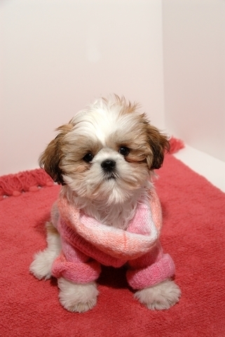 6d5cbbac8a38da2d51883177502a6375