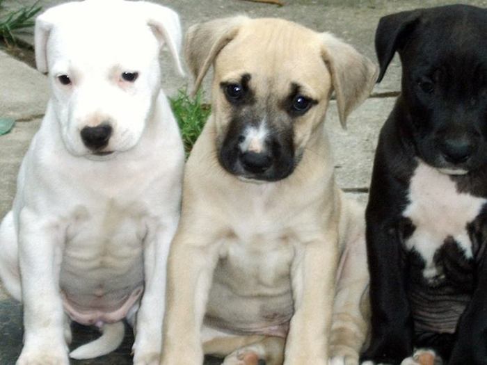 1276883184-193662063