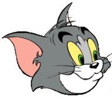 jocuri-tom-jerry - tom si jerry