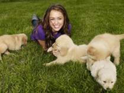 16133793_ZRKYHLPSM - MILEY CYRUS la sedinte foto