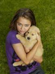 16133809_NEQBQNUEK - MILEY CYRUS la sedinte foto