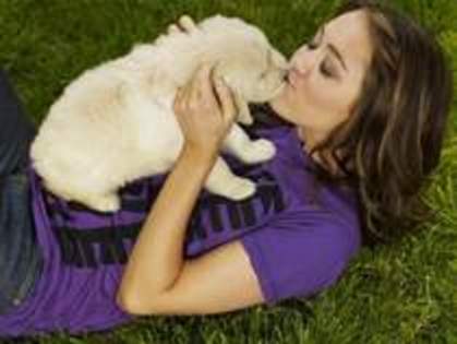 16133811_BPKNNCKXE - MILEY CYRUS la sedinte foto