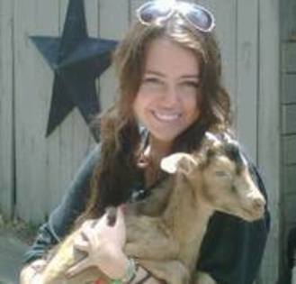 LNXHCCDXMFMLGLRLKWM - poze personale cu miley cyrus