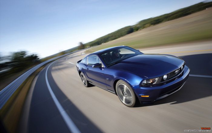 Cars_Collection (29)
