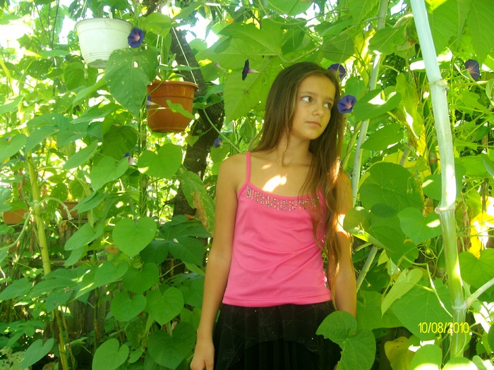 SANY2027 - flori