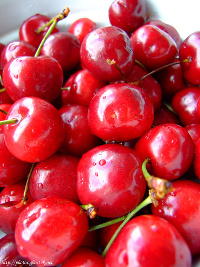 2008.08.04 - Cherries - DSCF2677