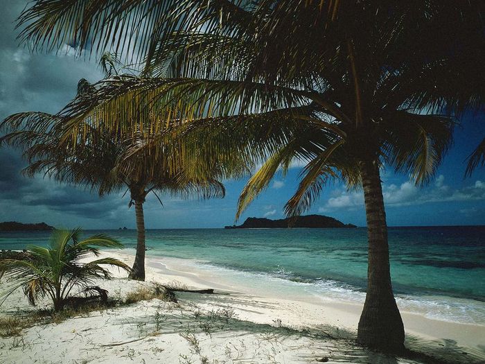 105231_island3 - favorites