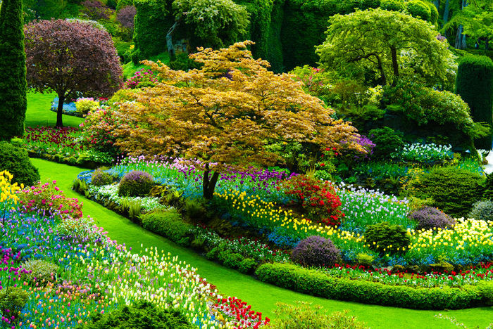 Butchard-Garden-a21203475 - favorites