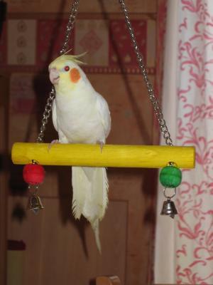 35_942201396_small