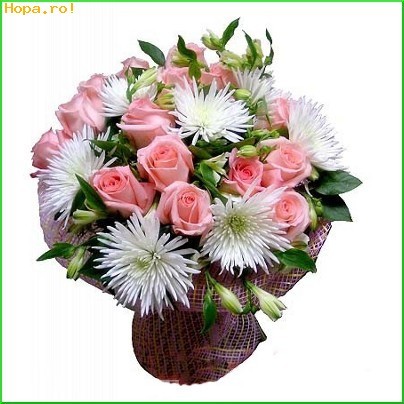 trandafiri_si_crizanteme_1237891952 - trandafiri